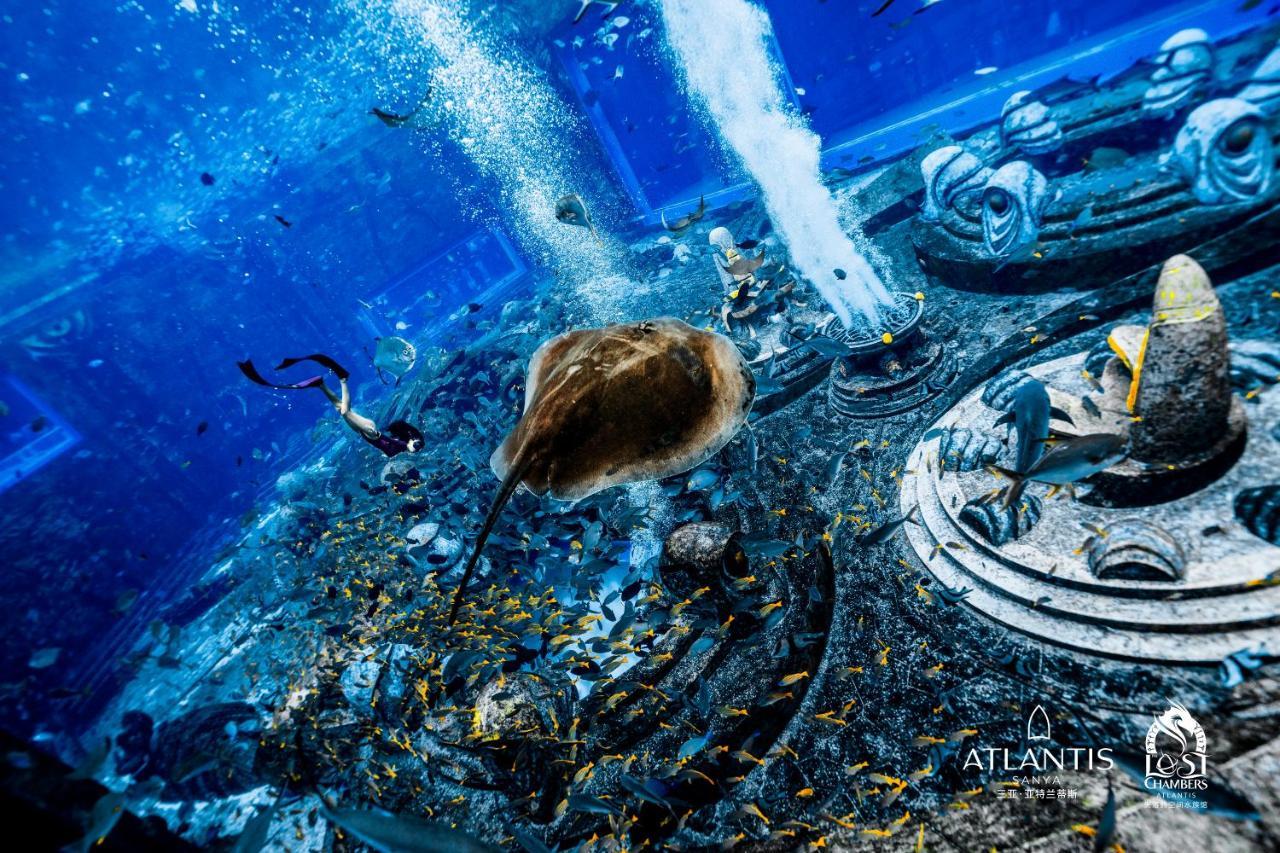 Atlantis Курортный комплекс 5*