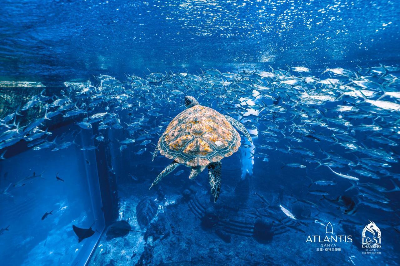 Atlantis Курортный комплекс Санья