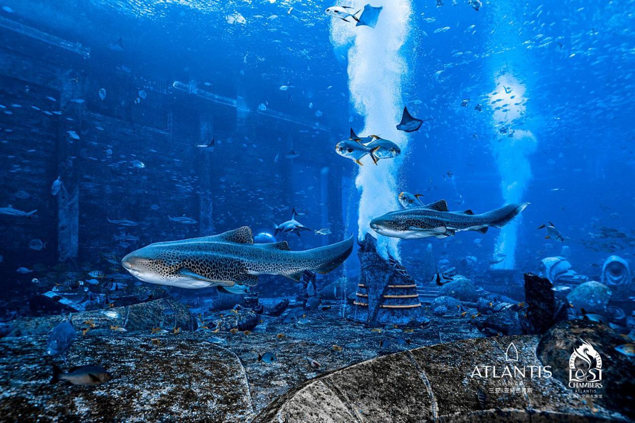 Atlantis Tempat peranginan Sanya