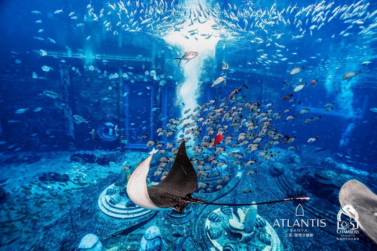 Atlantis 5* Sanya